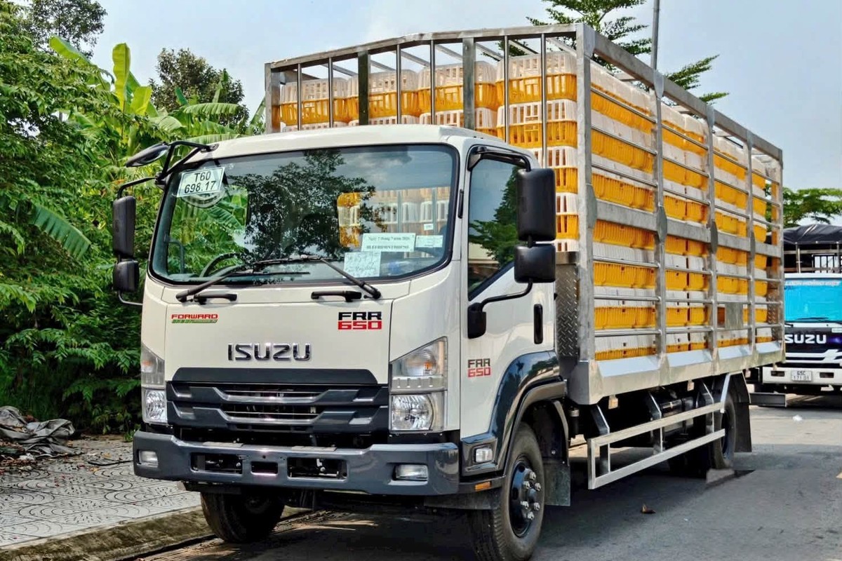 Isuzu FRR 650 thùng chở gia cầm full inox 304 nhìn chéo phía trước